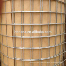 1/4 inch galvanized welded wire mesh / wire mesh roll